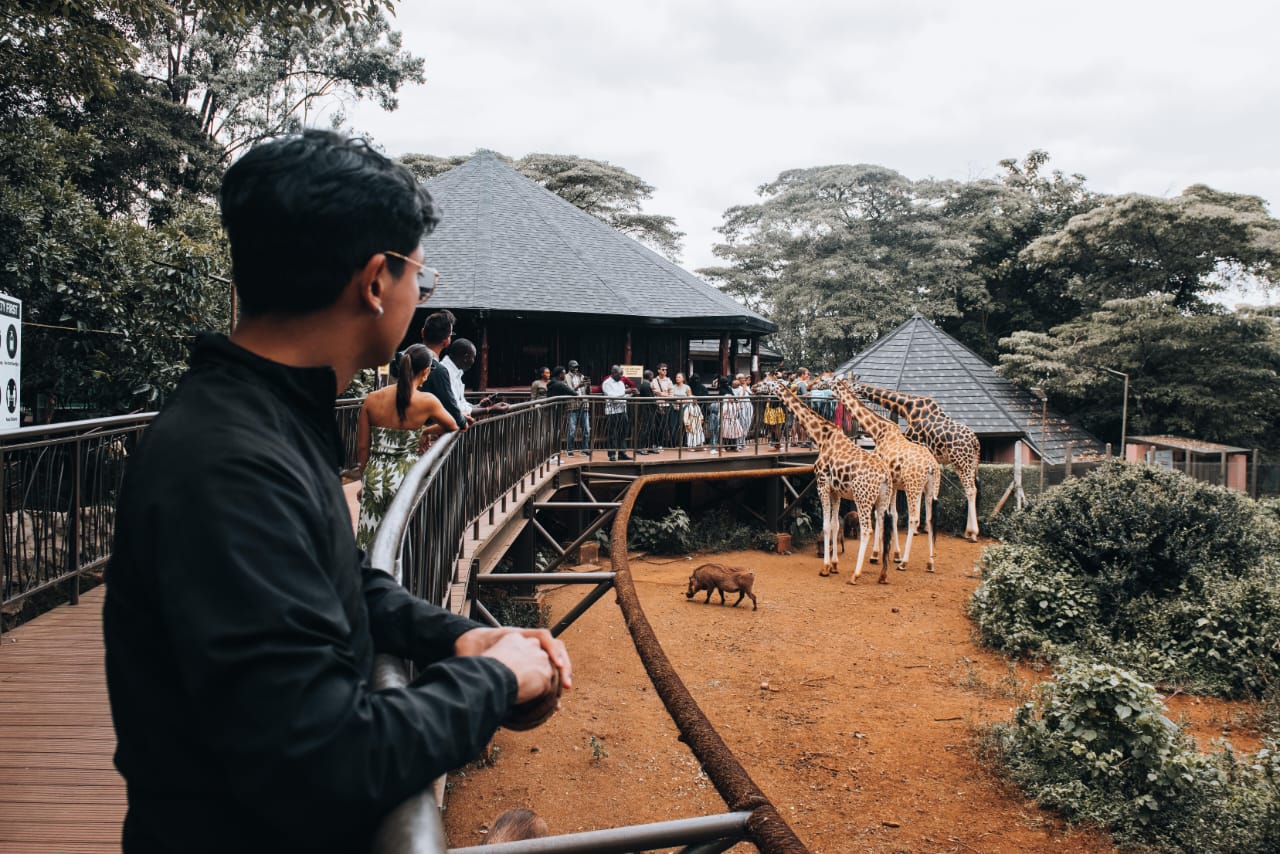 Tourist Interaction